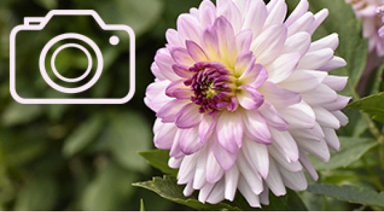 Screenshot Creator: просто и функционально