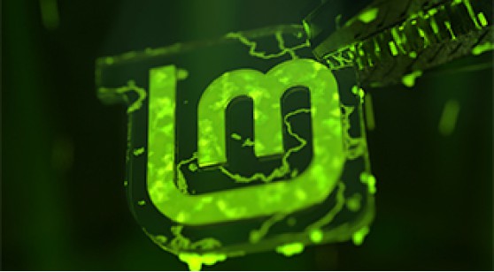 Как установить Linux Mint?