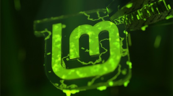 Как установить Linux Mint?
