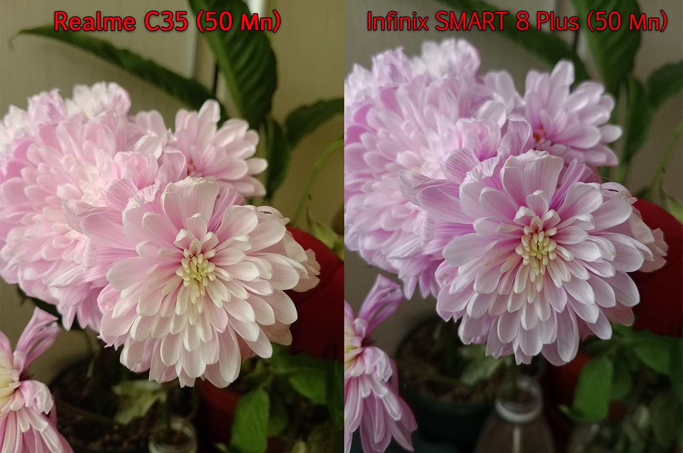 сравнение фотокамер realme c35 и infinix smart 8 plus